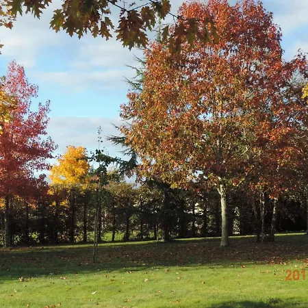 Renove Avec Jardin Et Terrasse Pres De Thire, Festival De Musique Baroque, Ideal Pour Familles - Fr-1-426-538 Bourneau